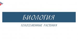 6 класс - Биология - Голосеменные растения