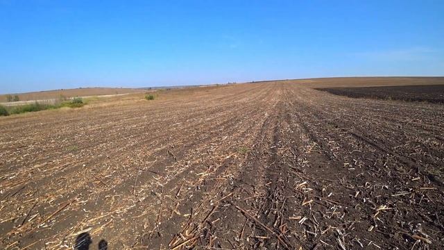 🚜 МТЗ   82 і каток, що рубає✅  На високій швидкості ❗ Дуже круто вийшло