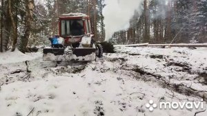 пилим делянку Мтз-82 выжил, ПОДПИСЫВАЕМСЯ РЕБЯТИШКИ)) 💪💪💪😎