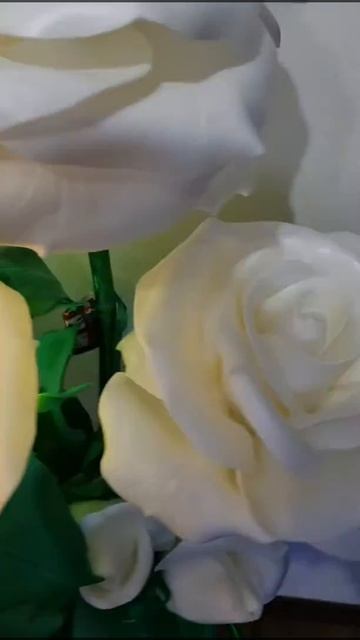 Торшер на праздник смотреть онлайн