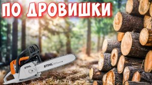 Заготовка дров