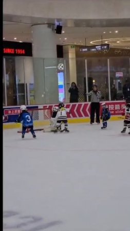Победный ГОЛ!!!! 👊       #hockey #hockeylife  #icehockeytournament #хоккеисты #icehockeyfamily