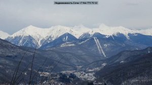 Кругозор Ефремова в Красной Поляне • Куда сходить на выходных в Сочи