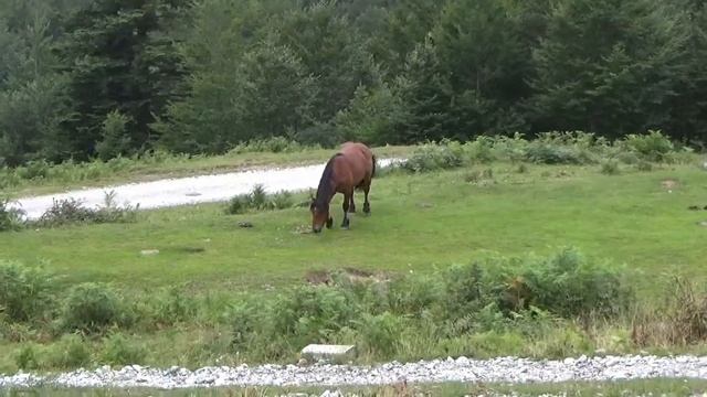 chalet 12 07 2017 смотреть онлайн