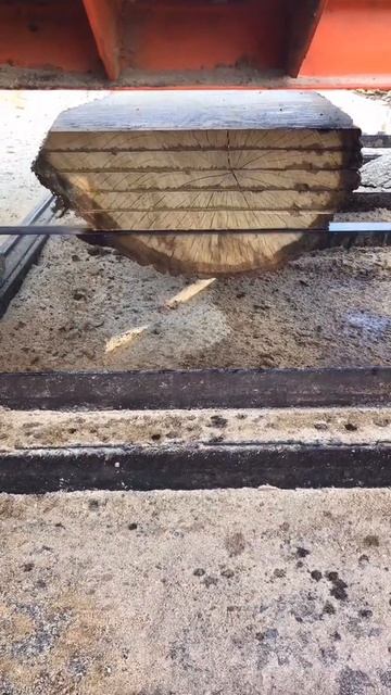 Распил дуба смотреть онлайн