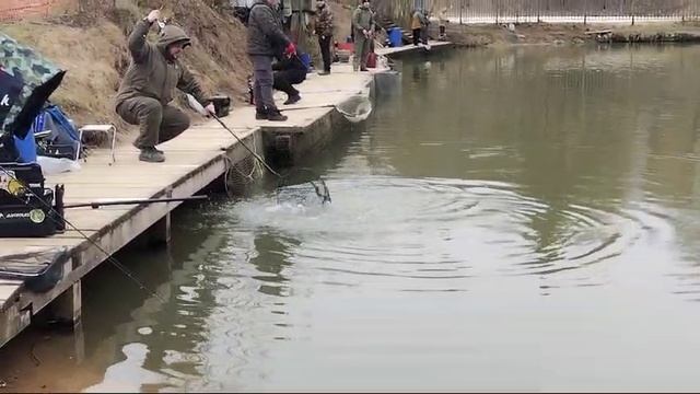 Спортзона.Форель