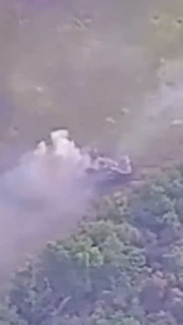 How Russians burned leopards. Леопарды тоже горят смотреть онлайн