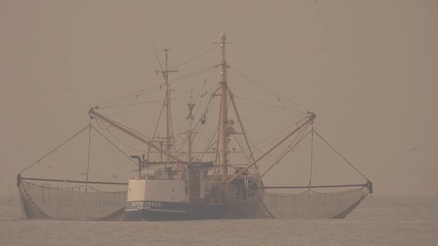 Stankt Peter-Ording November 2022 смотреть онлайн