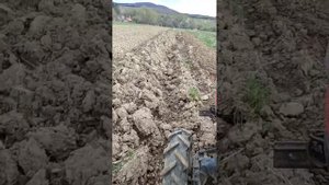 Кубота gl 19 фреза