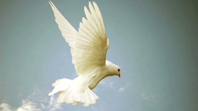 26.05.2024 || Недільне богослужіння || проповідь Зданівський Анатолій смотреть онлайн