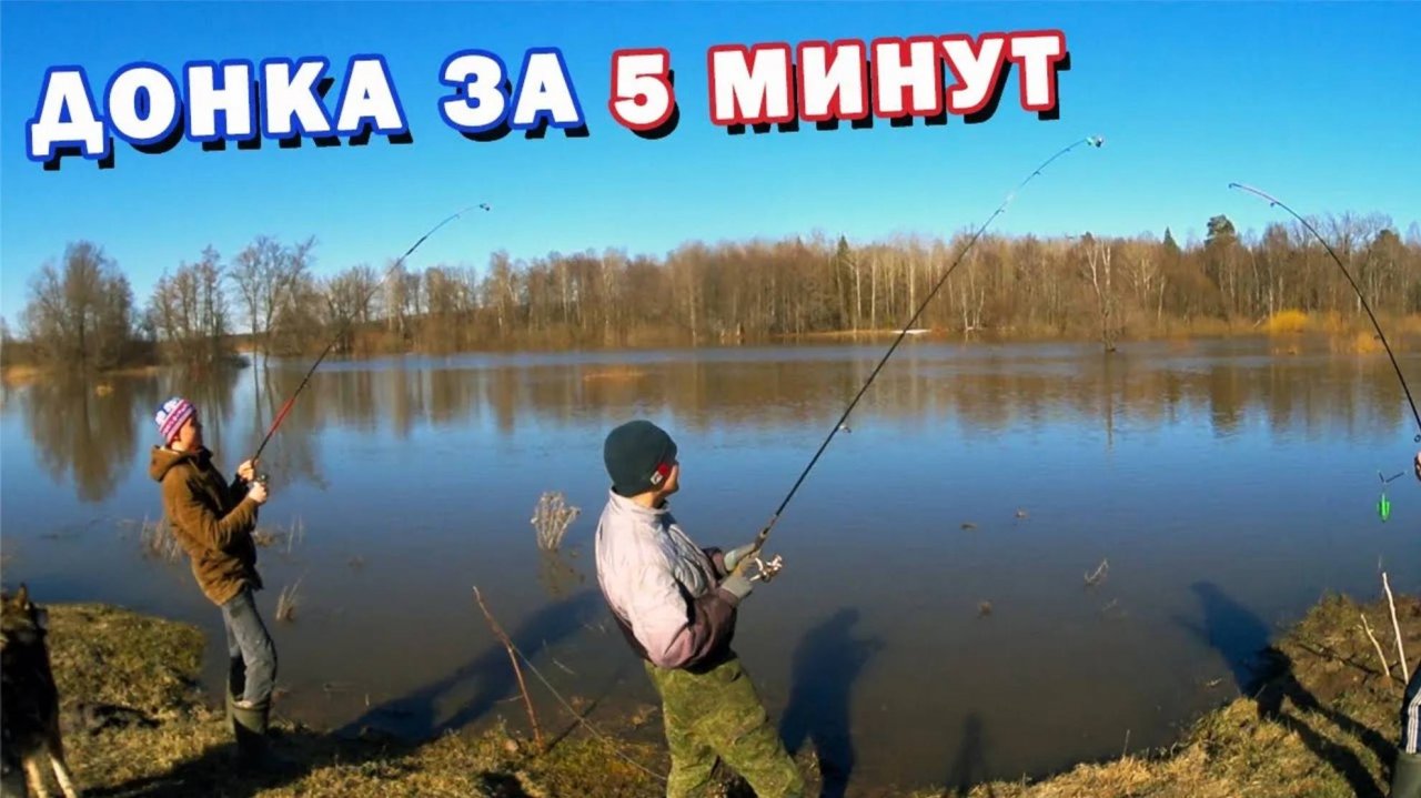 Как сделать ДОНКУ за 5 минут / Донка своими руками / Ловля на Донку
