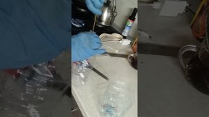 Как сделать дешёвый фитильный полив