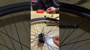 Как разобрать и собрать заднюю втулку Novatec D982TSB-X12 Demarche Stone Sora 2x9