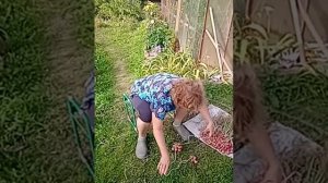 Как связать лук в косу.