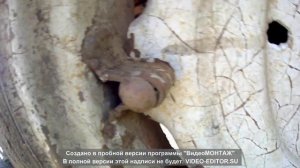 колесо на трактор т-25 от комбайна дон