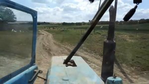 МТЗ 80 и Прицеп 2ПТС 4 перевозка тюков с поля /Moldova