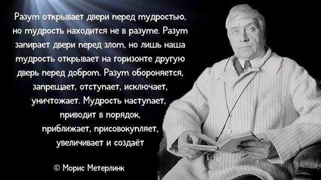 Афоризмы и Цитаты Великих Людей. Мудрые слова, которые нужно запомнить смотреть онлайн