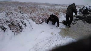 Утопили трактор дт 75 в болоте