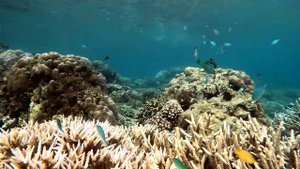 ПРАВИЛА ВЪЕЗДА НА ФИЛИППИНЫ! КОРОТКО И ПО ДЕЛУ) ФИЛИППИНЫ 2024