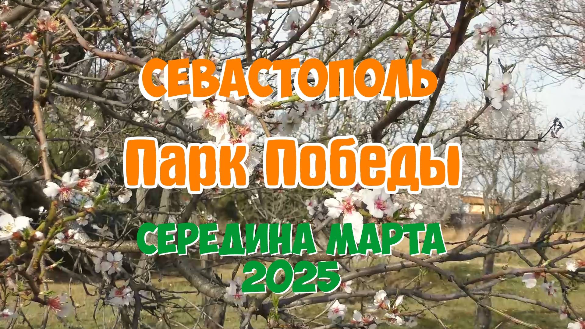 Парк Победы. Середина марта 2025.