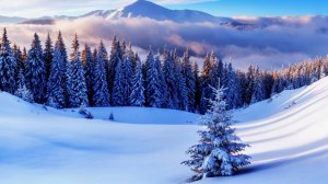 Эпичная музыка. Красивый зимний пейзаж. Мотивационная музыка.