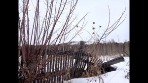 Раскадровка