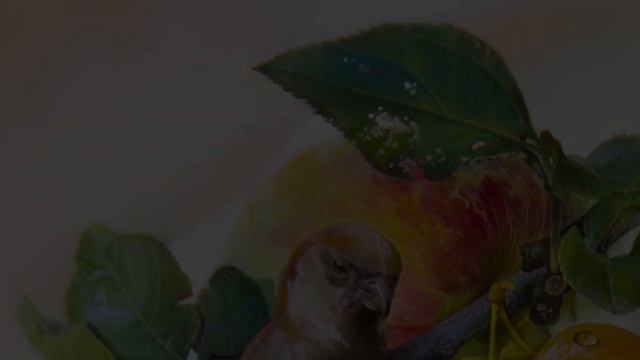 Натюрмортъ съ Терновникомъ смотреть онлайн