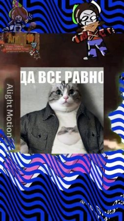 ёшкин кот.💀