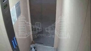 В Красноярске в Преображенском собака могла погибнуть в лифте