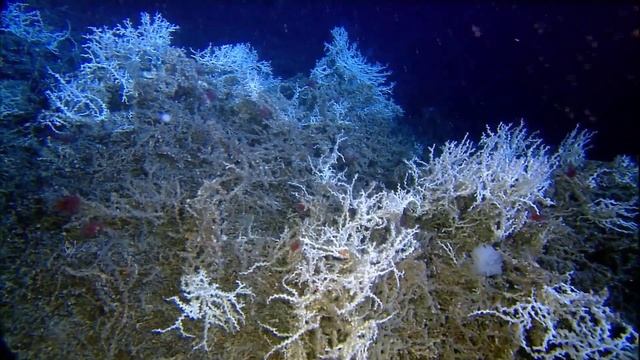 Mysterious Places In The Ocean / Documentary (English/HD) смотреть онлайн