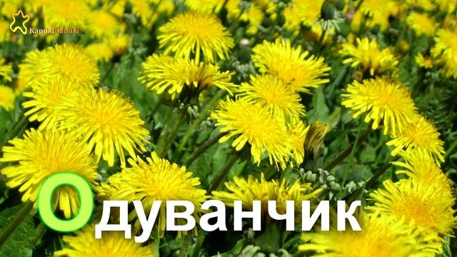 Развивалки - Алфавит для детей под Вальс Цветов