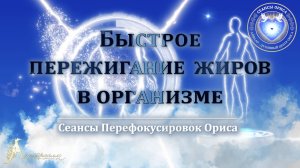 Быстрое пережигание ЖИРОВ в организме (Сеанс 24). Орис Орис