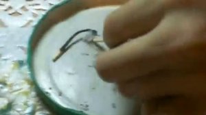 эксперимент с водной ртутью