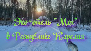 Эко-отель «Мох» в Республике Карелия
