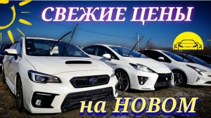 #витаминавто СВЕЖИЕ ЦЕНЫ НА НОВОМ