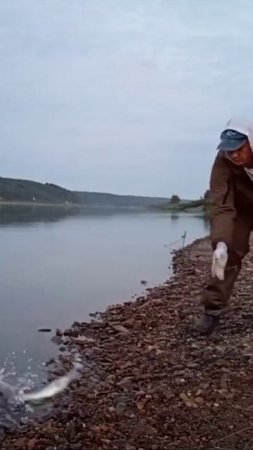 ШТЫРЬ ВЛЕТЕЛ!!