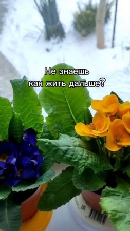 не знаешь как жить?