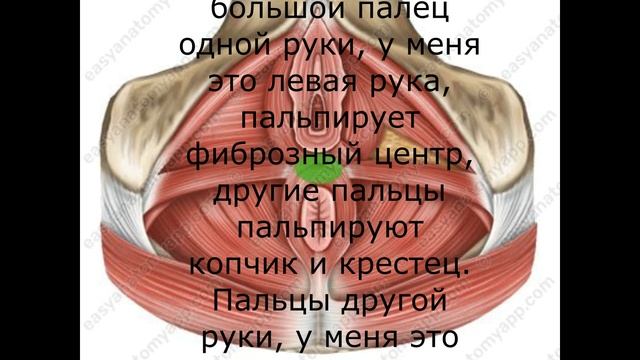 Фрагмент корррекция фиброзного центра1