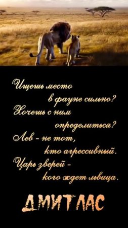 Место в фауне...
