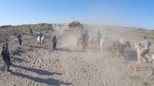 Кокпар - конная игра, козлодрание