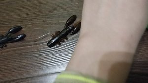 Обзор моего рыбацкого снаряжения