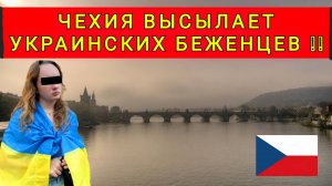УКРАИНЦЕВ ВЫГОНЯЮТ ИЗ ЧЕХИИ