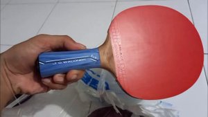 DONIC LEVEL 800 AGP