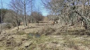 заброшенная деревня ШАБАНОВО