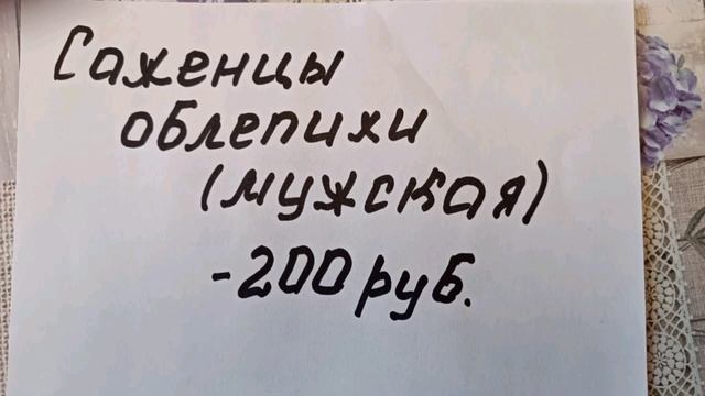 Каталог с ценами. Саженцы садовых растений