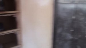 Николаевские голуби донетской селекции
