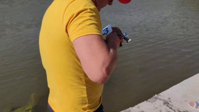 FSR-ECO-MINI-MONO, 1-ая попытка Кубок по судомодельному спорту, Саратов, 28.08.22 смотреть онлайн