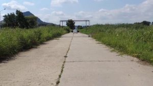 фиолетки Ария