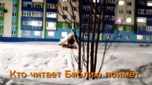 Свет - В пустыню 2