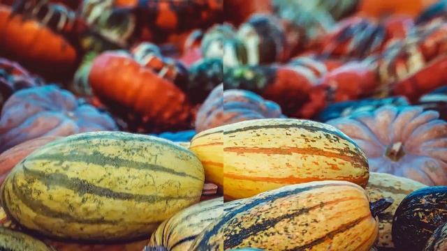 Page Style Seamless Transitions Presets (Pack 5) Premiere Pro Presets смотреть онлайн